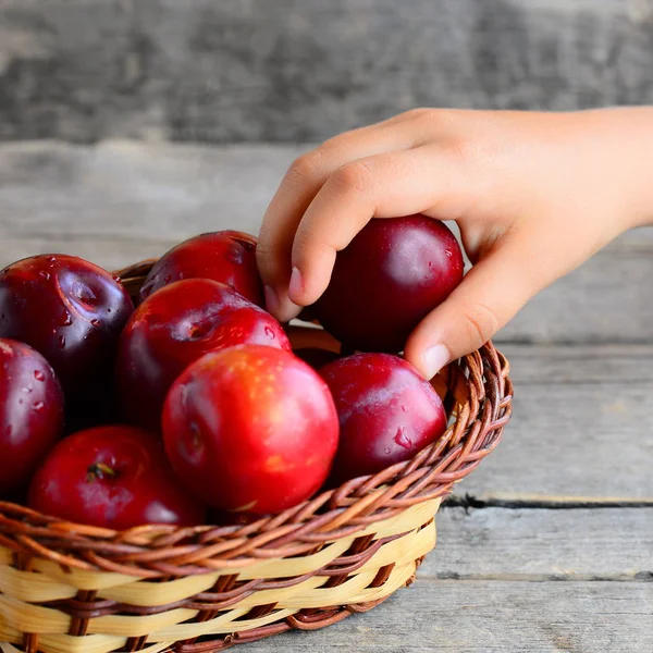 Anak mengambil satu plum dari keranjang. Plum matang segar dalam keranjang wicker di atas meja kayu vintage. Makanan sehat untuk anak-anak — Stok Foto