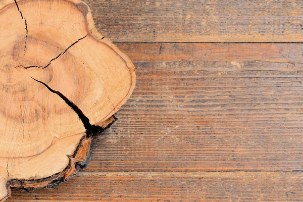 Tree stump on a wooden background with copy space for text. Wooden texture background. Tree cross section. Top view