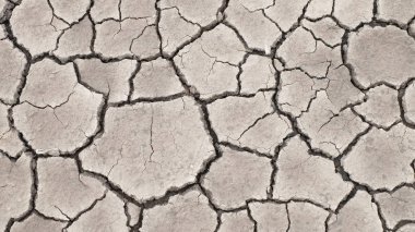 toprak kuraklığı çatlak doku