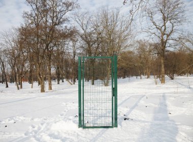 Kışın karlı ormanda yeşil metalik kapı, park, orman, yalnız, kayıp, orman kayıp