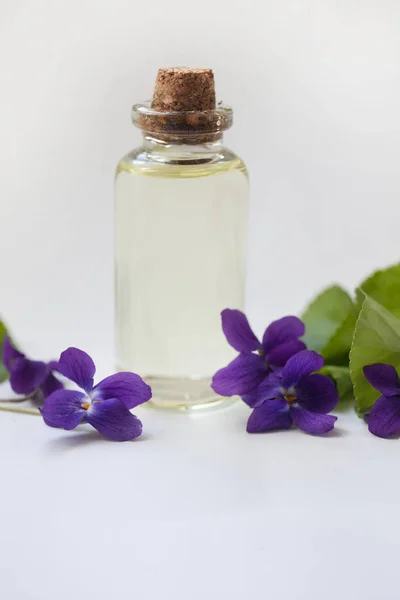 Viola odorata oil (Sweet Violet, English Violet, Common Violet, or Garden Violet) with fresh Viola odorata flowers, selective focus on white background. — Stock Photo, Image