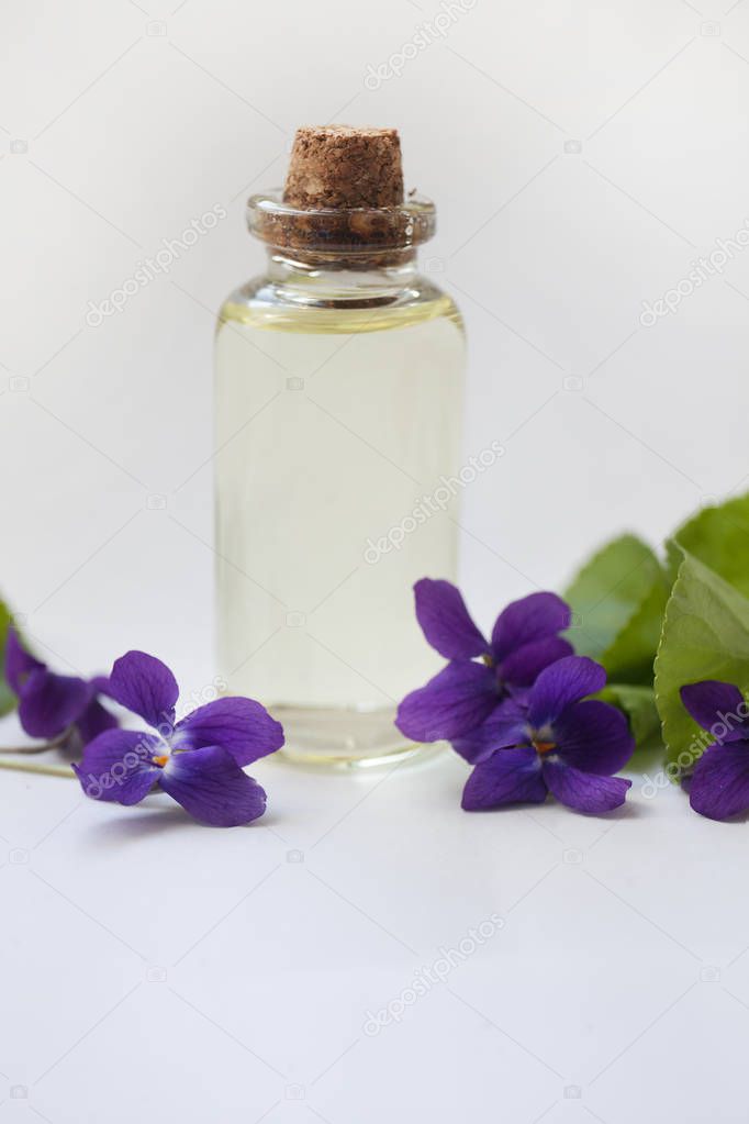 Viola odorata oil (Sweet Violet, English Violet, Common Violet, or Garden Violet) with fresh Viola odorata flowers, selective focus on white background. 