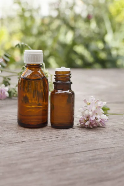 Coronilla varia essential (tincture, remedy, infusion) oil glass bottle on wooden and greenery background with fresh Coronilla varia flowers — Stock Photo, Image