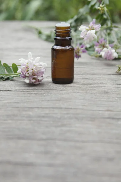 Coronilla varia essential (tincture, remedy, infusion) oil glass bottle on wooden background with fresh Coronilla varia flowers — Stock Photo, Image