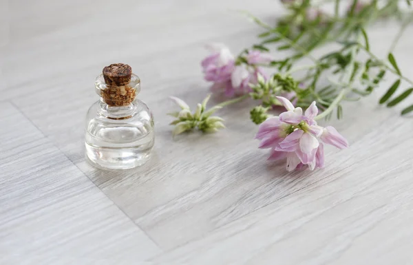 Coronilla varia essential oil (extract, infusion, remedy) glass bottle with fresh Coronilla varia flowers on wooden background, selective focus — Stock Photo, Image