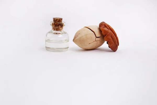 Pecan, pekan essential oil bottle and seed kernels isolated white — Stock Photo, Image