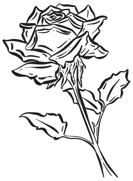 Abstract Cartoon Design Illustration Roses Flowers Stem — Stock Vector