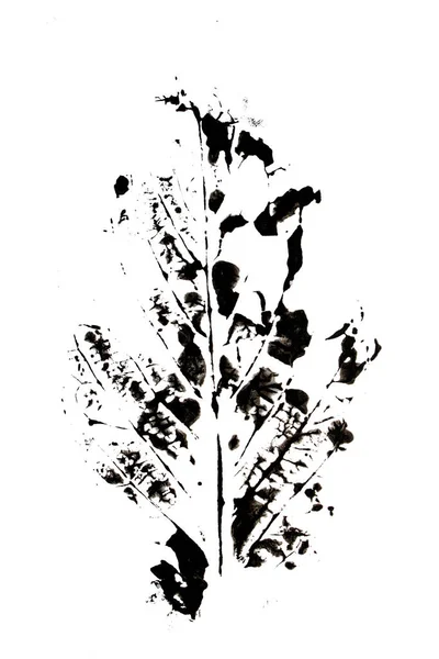 アブストラクト ペイントプリント冬の葉とつるの塊 — ストック写真
