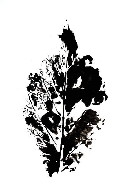 추상적 그림을 나뭇잎 혈관을 — 스톡 사진