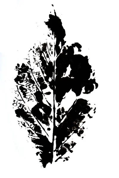 アブストラクト ペイントプリント冬の葉とつるの塊 — ストック写真