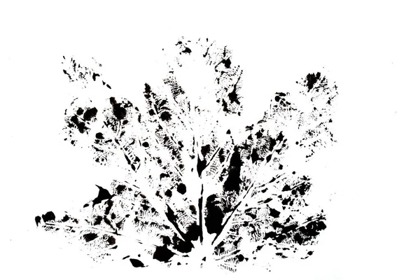 추상적 그림을 나뭇잎 혈관을 — 스톡 사진