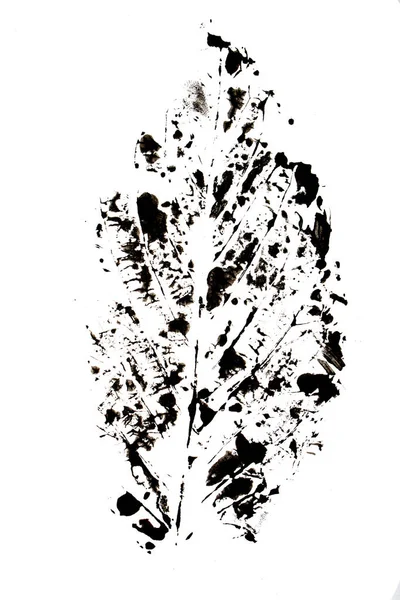 Streszczenie Farba Drukuj Kropla Zimowego Liścia Żył — Zdjęcie stockowe