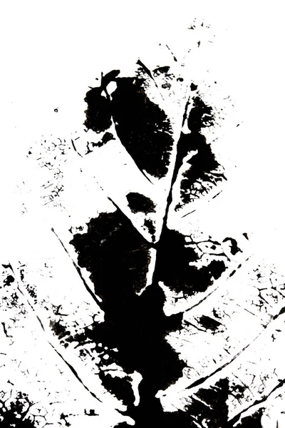 Αφηρημένη Βαφή Εκτύπωση Blot Winter Leaf Vein — Φωτογραφία Αρχείου