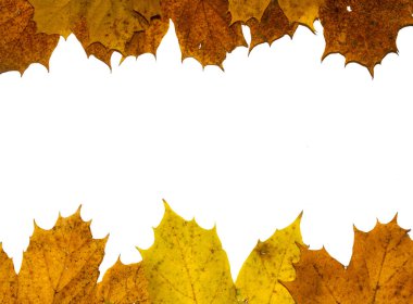 Kış Ölü Yaprakları Sınır Arkaplanı İçin Yapraklar
