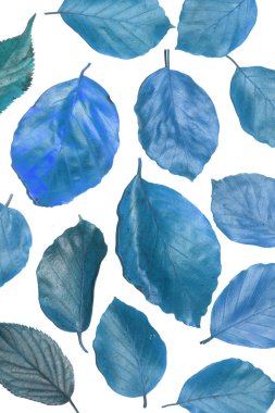 Kış Ölü Yaprakları Sınır Arkaplanı İçin Yapraklar