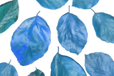 Kış Ölü Yaprakları Sınır Arkaplanı İçin Yapraklar