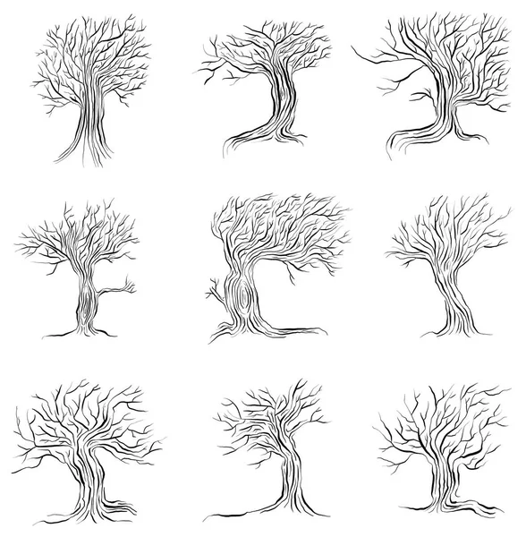 Una collezione vettoriale di alberi invernali senza foglie Illustrazione — Vettoriale Stock