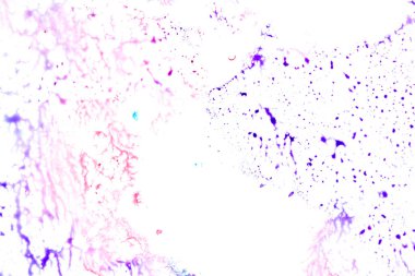 Soyut Arkaplan için Beyaz Kağıt üzerine Çok Renkli Damlaları Kapat