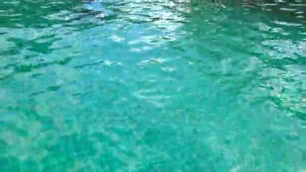 Uomo Nuoto in piscina all'aperto — Video Stock