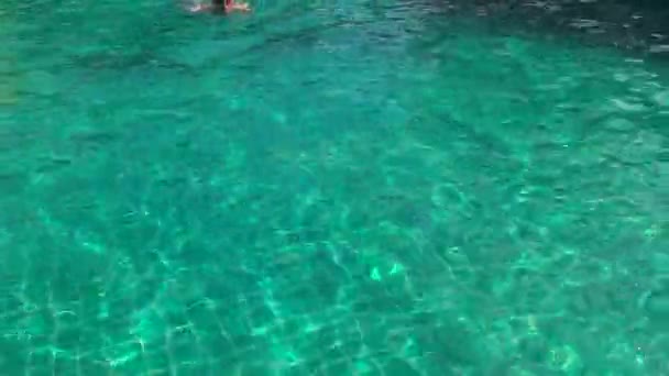 Homme nageant dans la piscine — Video