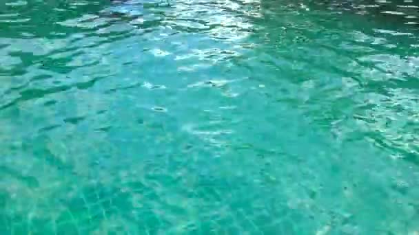 プールで泳いでる男 — ストック動画