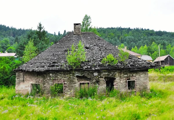 Ностальгический заброшенный старый дом с деревьями на крыше — стоковое фото