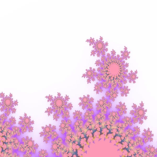 Bela decoração de design floral fractal rosa no fundo branco — Fotografia de Stock