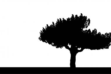 Beyaz arka planda siyah yatay ağaç silüeti