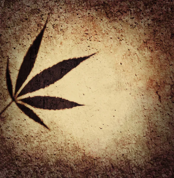 Marijuana ganja leaf background silhouette on framed square wall — Stock Photo, Image