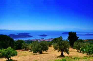 Zeytin ağaçları ile deniz ve okyanus ve gökyüzü horizont, Skiathos manzara, Yunanistan üzerinde göster