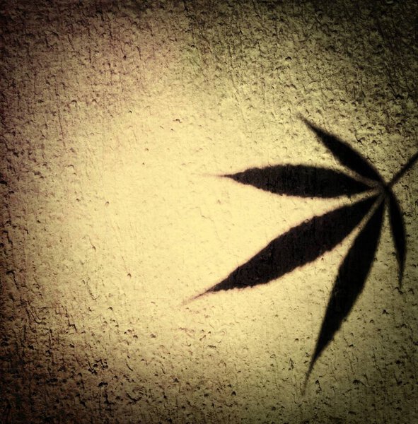 Marijuana leaf shadow in vintage beige tone design label template background