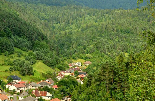 Picturesque small village in a valley surrounded by forests in east Slovakia