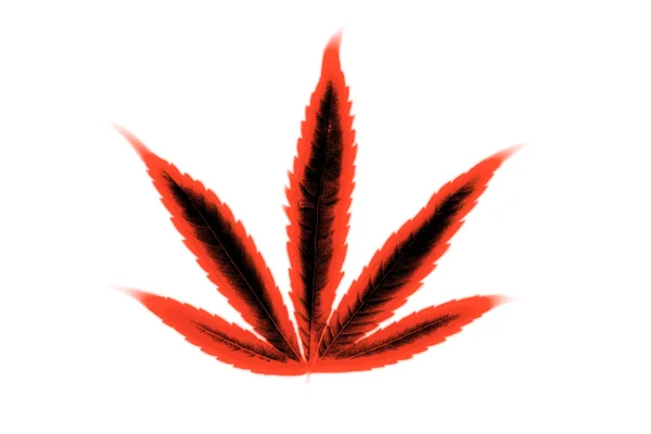 Bright orange red abstract rasta hippie symbol marijuana leaf isolated on white — Stock Photo, Image