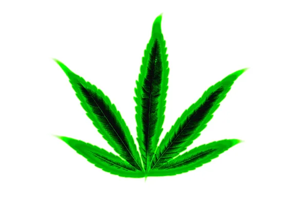 Luminoso verde rasta hippie símbolo marihuana hoja aislada en blanco —  Fotos de Stock