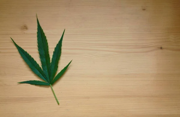 Φύλλο πράσινο ganja μαριχουάνα σε ξύλινα κενό φόντο — Φωτογραφία Αρχείου
