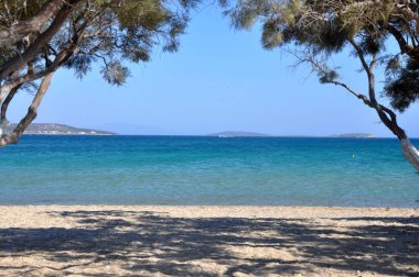 Deniz tarafı, tatil arka plan kavramı ağaçlarda grubu olmadan boş görünüm