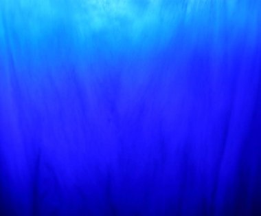 Derin parlak mavi degrade palmiye balmumu yapısı doku arka plan