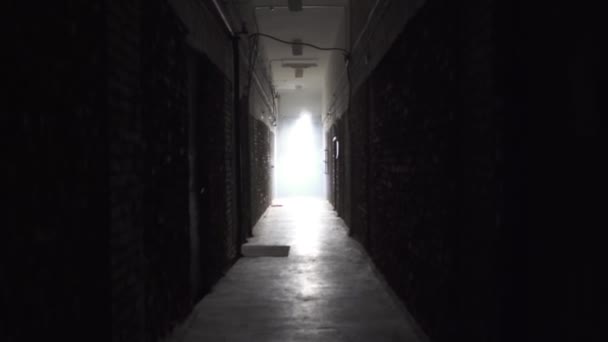 Creepy and nightmarish corridor — Stock Video