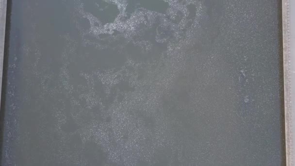 해질 무렵의 시립 공원 — 비디오