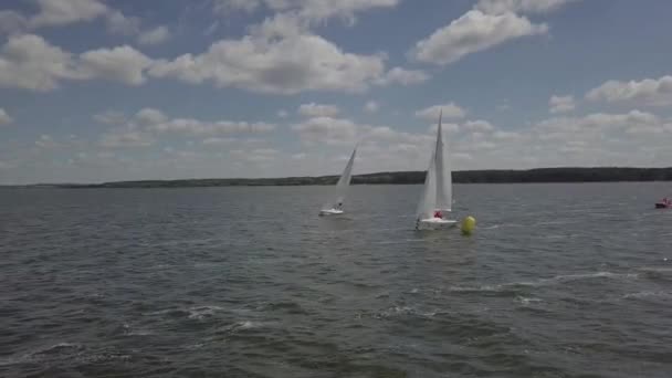 Яхти, море, спорт — стокове відео