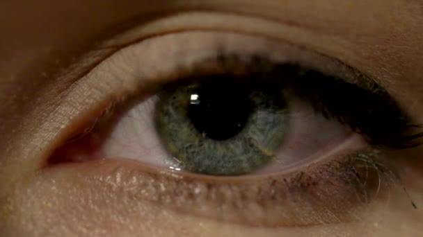 Weibliches Auge / schöne große Augen / Augen — Stockvideo