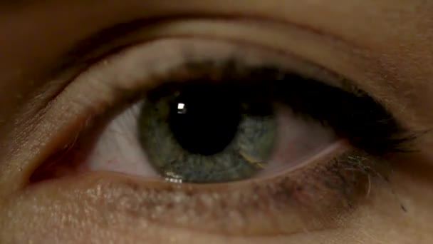 Occhio femminile / begli occhi grandi / occhi — Video Stock