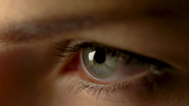 Œil féminin / beaux grands yeux / yeux 