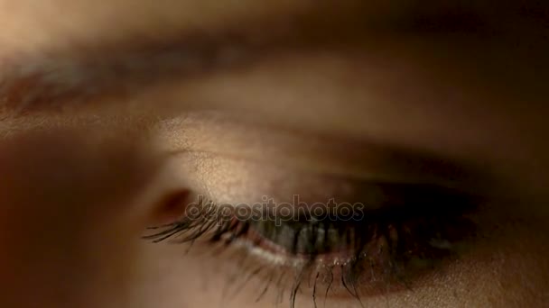 Ojo femenino / hermosos ojos grandes / ojos — Vídeos de Stock