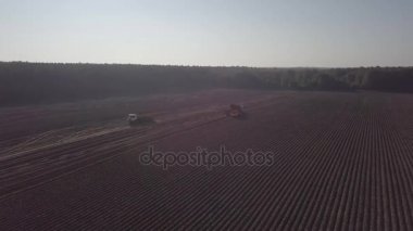 bir birleştirmek ile patates hasat 