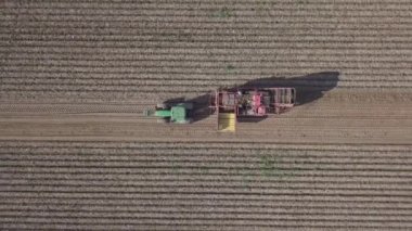 bir birleştirmek ile patates hasat 