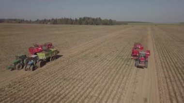 bir birleştirmek ile patates hasat 