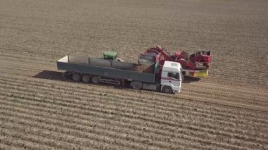 bir birleştirmek ile patates hasat 