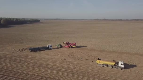 récolte de pommes de terre avec une combinaison  