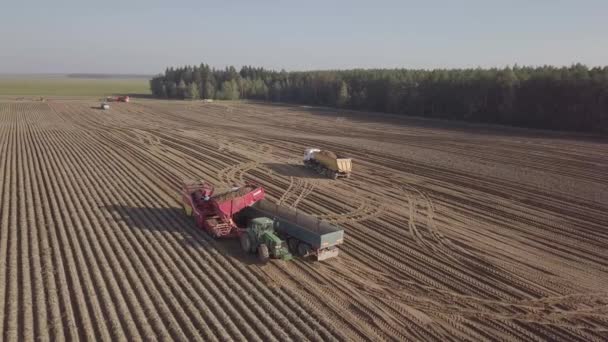 コンバインでジャガイモを収穫 — ストック動画